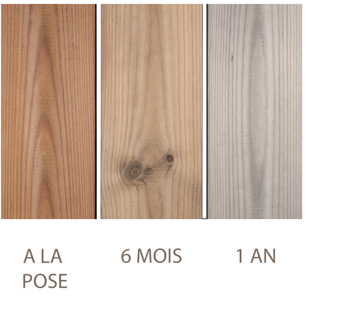#A1B Pin thermo chauffé – Lames terrasse bois