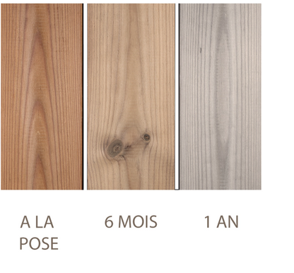 #A1B Pin thermo chauffé – Lames terrasse bois